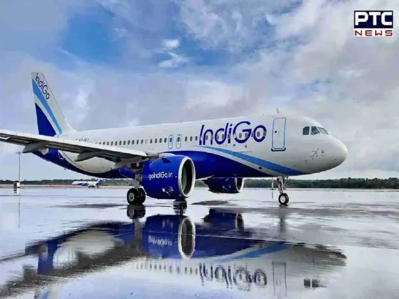 Low-Cost Carrier Indigo Is Set To Significantly Expand Its International Network.