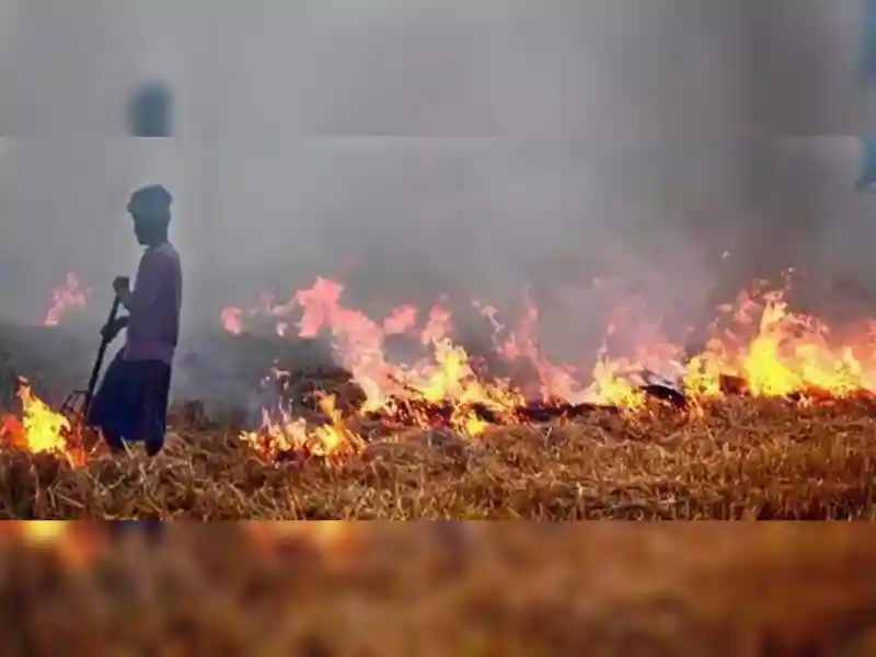 On Monday, the Supreme Court was informed that there could be an undercount in the data on farm fires collected through the polar-orbiting Nasa satellite.