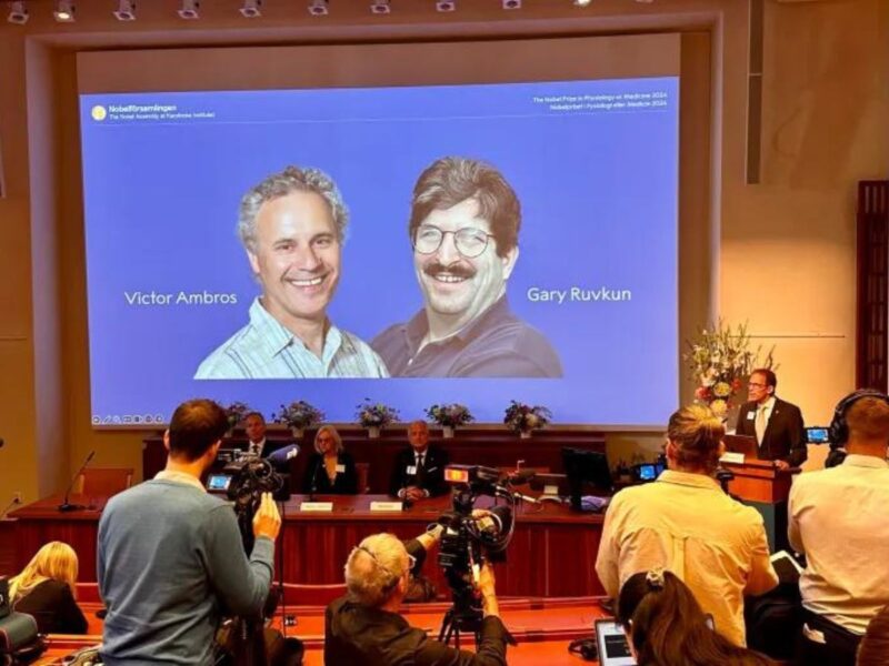 Thomas Perlmann (right), secretary of the Nobel Assembly, announces the winners of the 2024 Nobel Prize in Physiology or Medicine, Victor Ambros (left) and Gary Ruvkun (right), whose photos are projected onto a screen, October 7, 2024