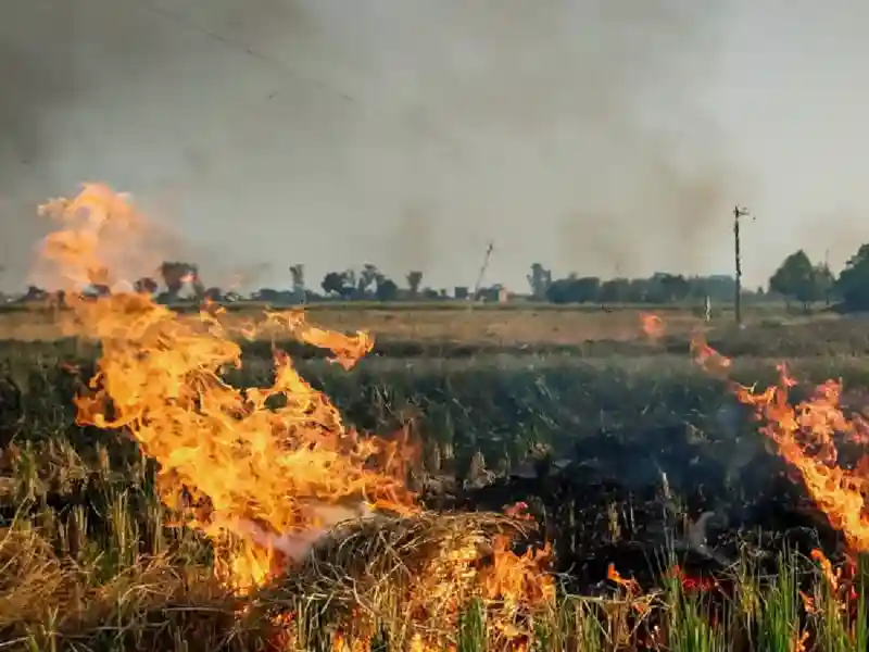 18 farmers in Haryana were arrested by the police for engaging in stubble burning.