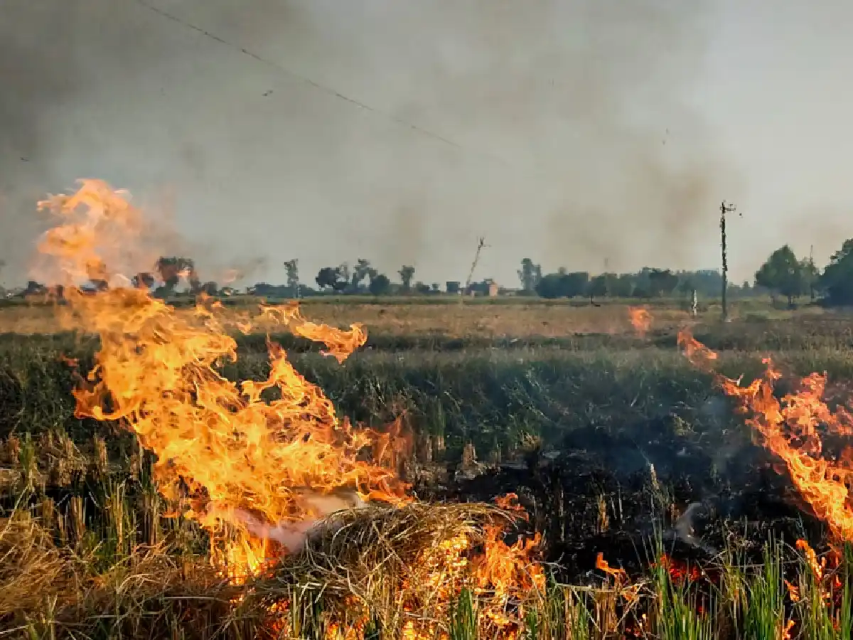 18 Farmers In Haryana Were Arrested By The Police For Engaging In Stubble Burning.